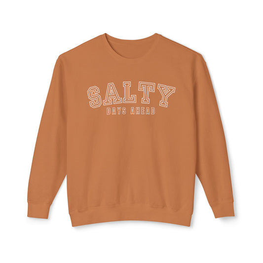 Eddy and Rita Women's Comfort Colors Lightweight Sweatshirt - "Salty Days Ahead" Beach Lover's Graphic Pullover