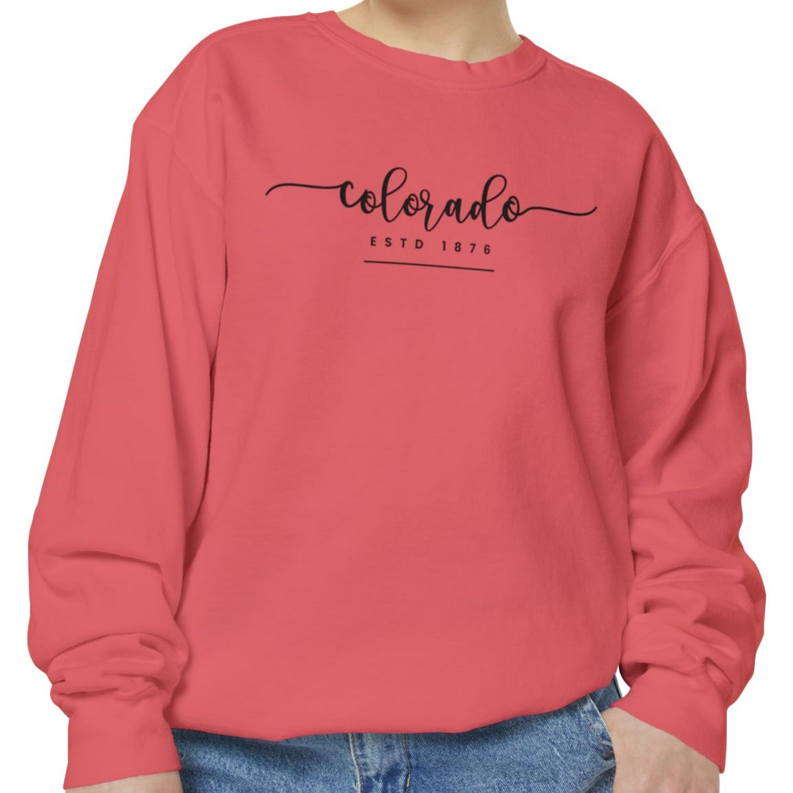 Comfort Colors Women's Sweatshirt - Colorado Pride Pullover - Eddy and Rita