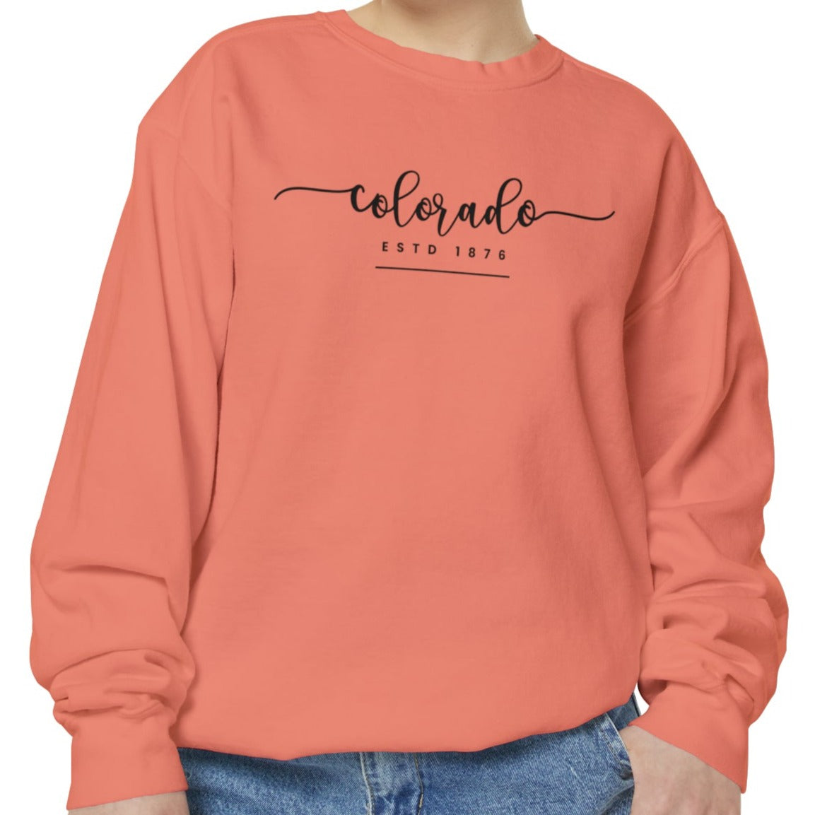 Comfort Colors Women's Sweatshirt - Colorado Pride Pullover - Eddy and Rita