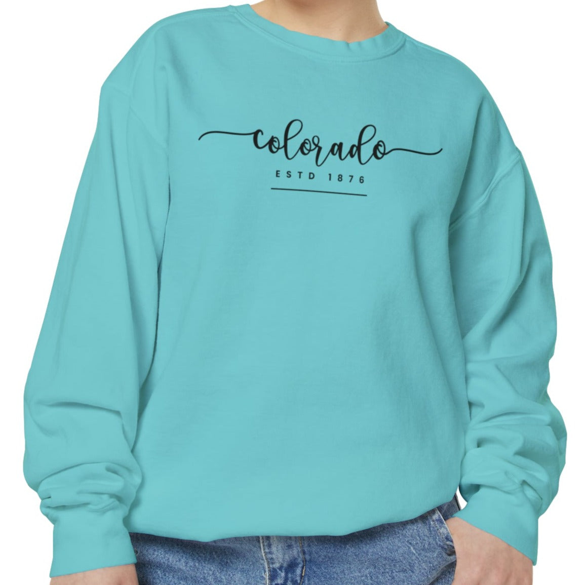 Comfort Colors Women's Sweatshirt - Colorado Pride Pullover - Eddy and Rita