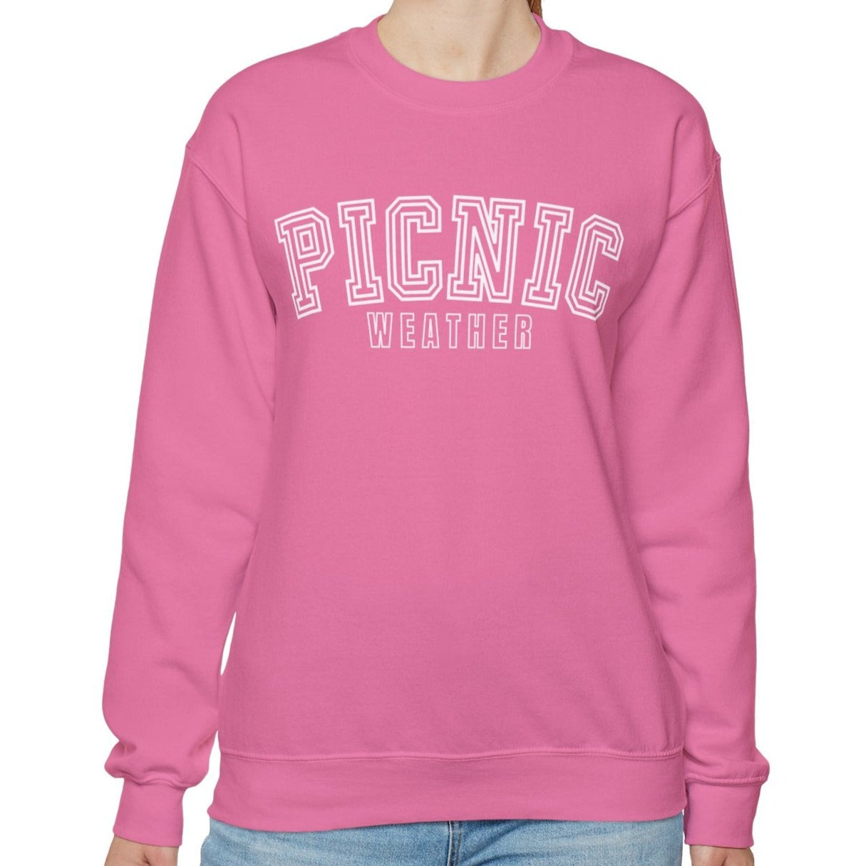 Picnic Weather Women's Cozy Sweatshirt - Eddy and Rita