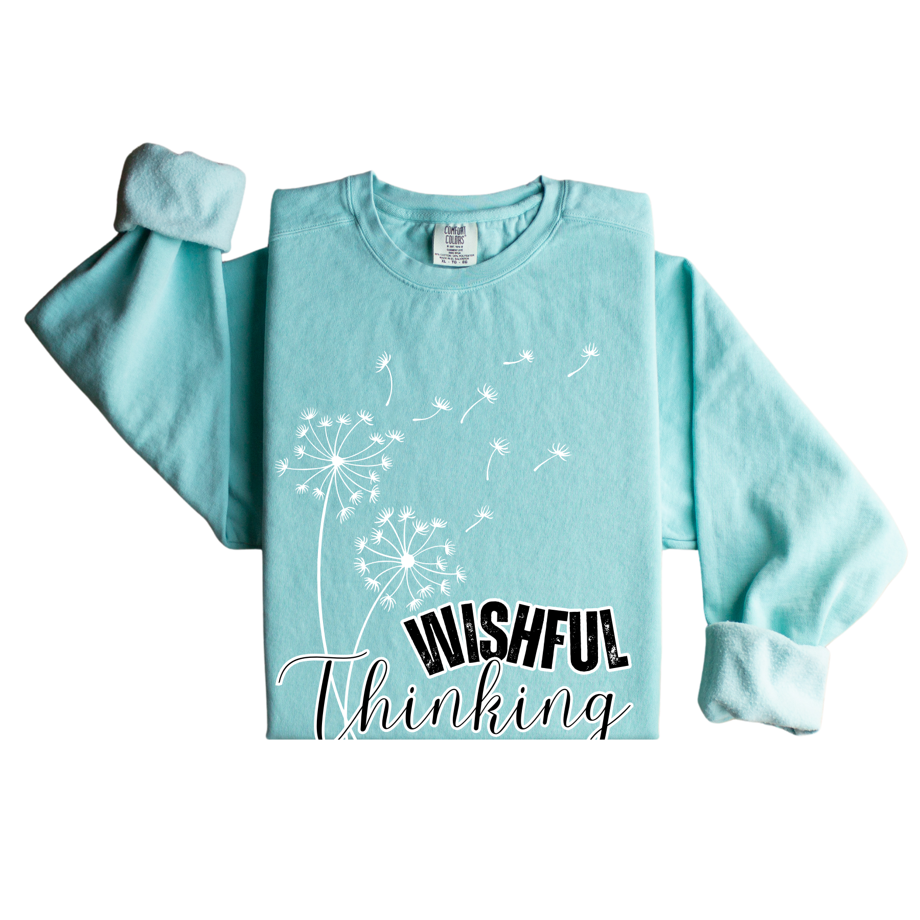 Wishful Thinking Women's Comfort Colors Sweatshirt - Cozy and Thoughtful - Eddy and Rita